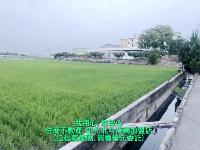 彰化溪州農地-0