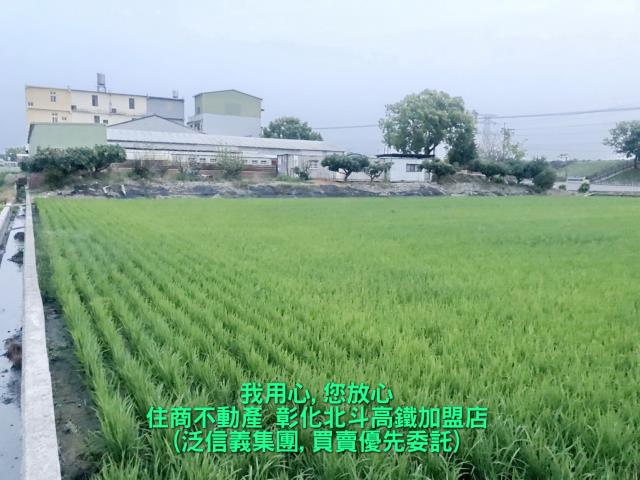 彰化溪州農地-2