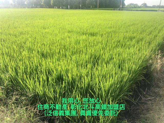 竹塘農地-2