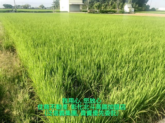 竹塘農地-3
