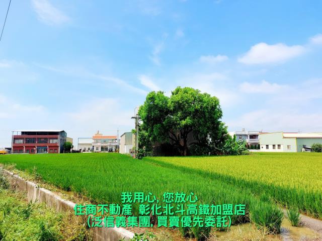 彰化農地-1
