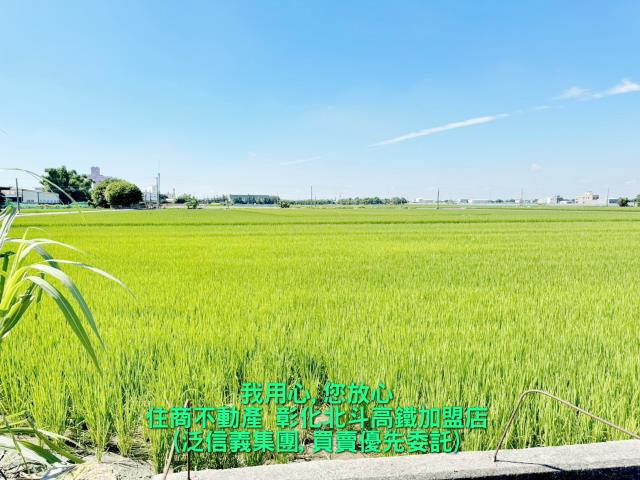 埤頭農地-0