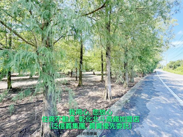 埤頭農地-5