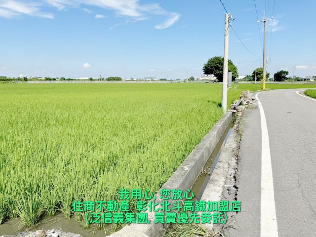 埤頭農地-1