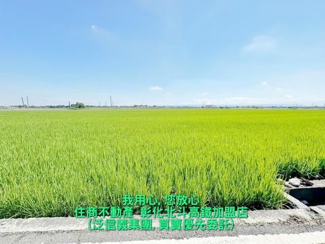 埤頭農地-2